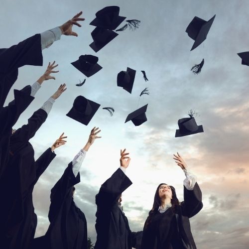 Undergraduate Programs